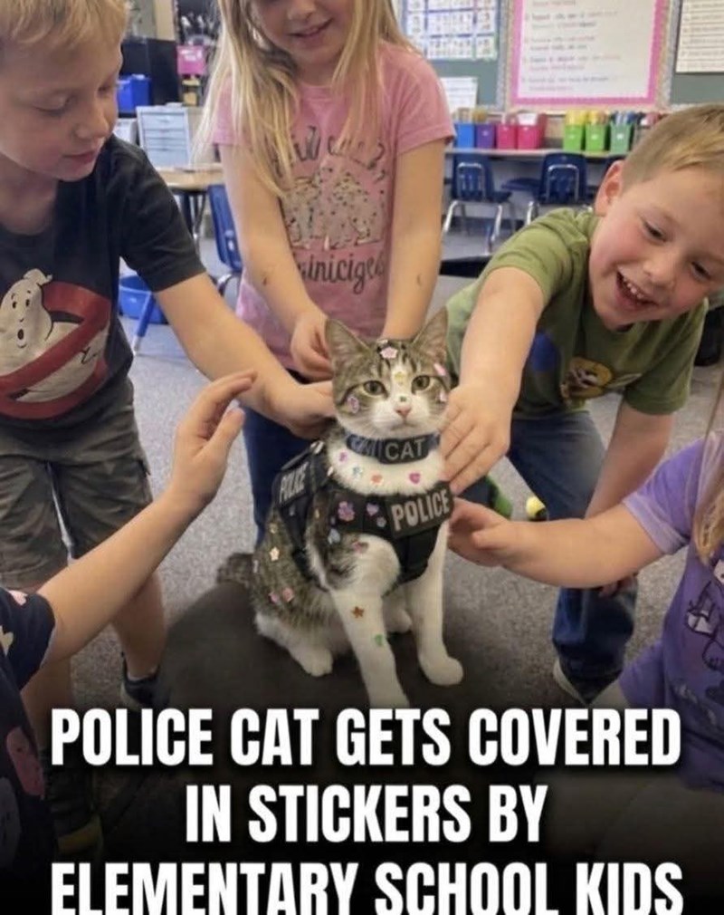 inicige CACAT POLICE POLICE CAT GETS COVERED IN STICKERS BY ELEMENTARY SCHOOL KIDS