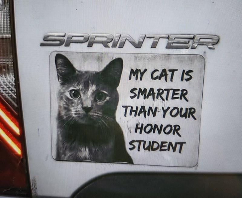 SPRINTER MY CAT IS SMARTER THAN YOUR HONOR STUDENT