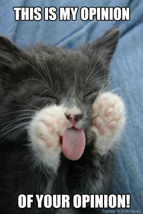 THIS IS MY OPINION OF YOUR OPINION! Caption by Kittyworks