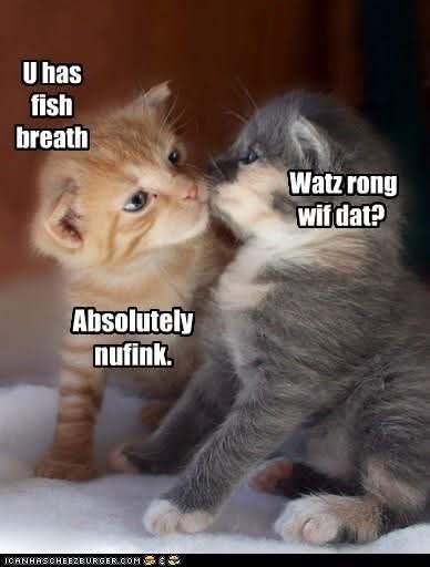 U has fish breath Absolutely nufink. ICANHASCHEEZBURGER.COM Watz rong wif dat?