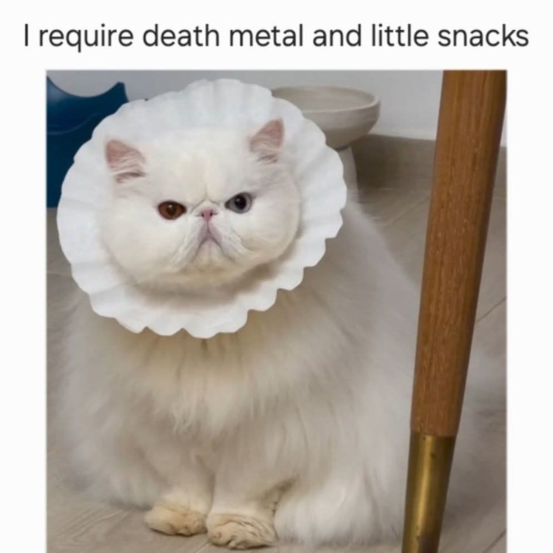 I require death metal and little snacks