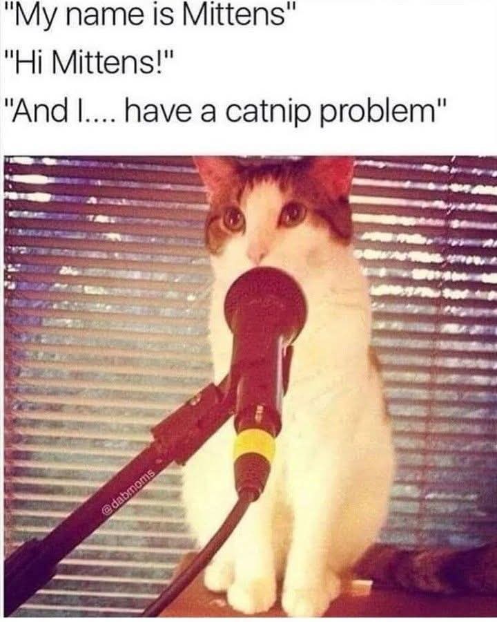"My name is Mittens" "Hi Mittens!" "And I.... have a catnip problem" @dabmoms
