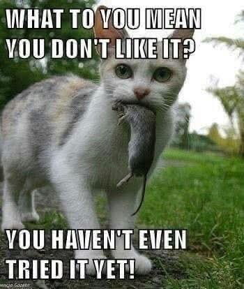 WHAT TO YOU MEAN YOU DON'T LIKE IT? YOU HAVEN'T EVEN TRIED IT VET! enge Gozeta
