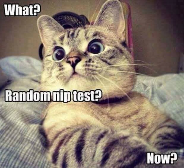 What? Random nip test? Now?