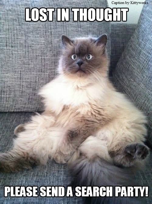Caption by Kittyworks LOST IN THOUGHT PLEASE SEND A SEARCH PARTY!