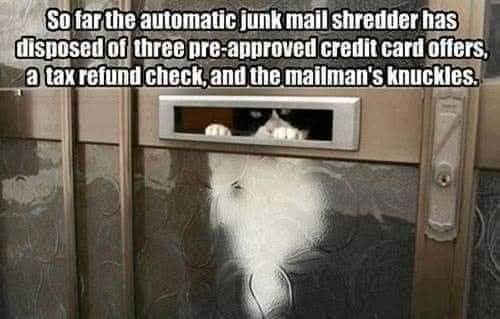 So far the automatic junk mail shredder has disposed of three pre-approved credit card offers, a tax refund check, and the mailman's knuckles.