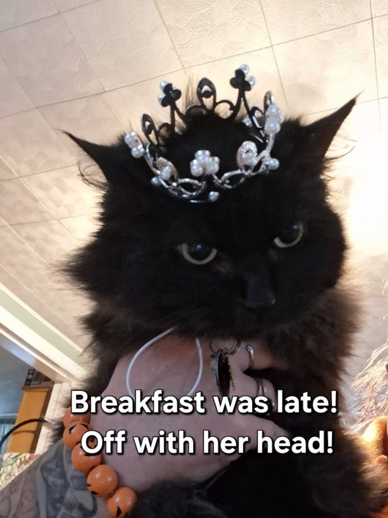 Breakfast was late! Off with her head!