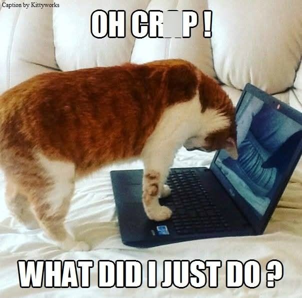 Caption by Kittyworks OH CR*P! WHAT DID I JUST DO?