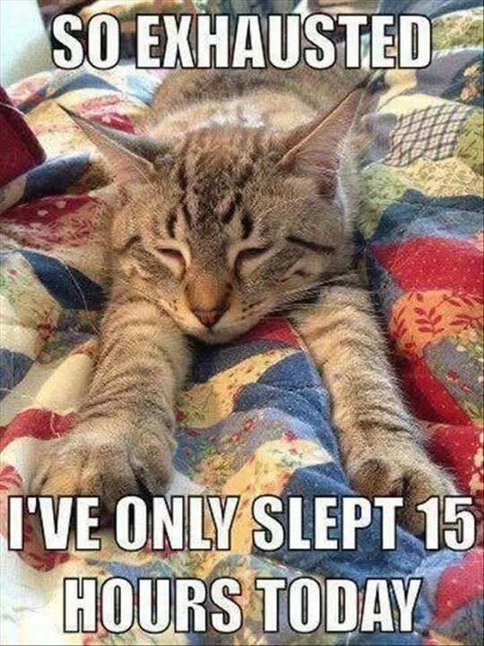 SO EXHAUSTED I'VE ONLY SLEPT 15 HOURS TODAY
