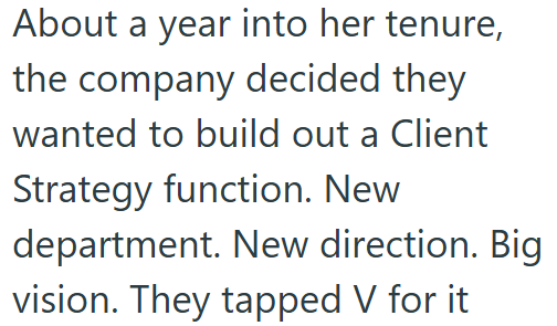 About a year into her tenure, the company decided they wanted to build out a Client Strategy function. New department. New direction. Big vision. They tapped V for it