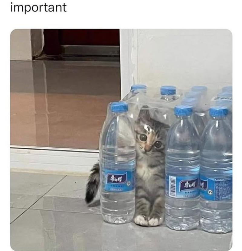 important