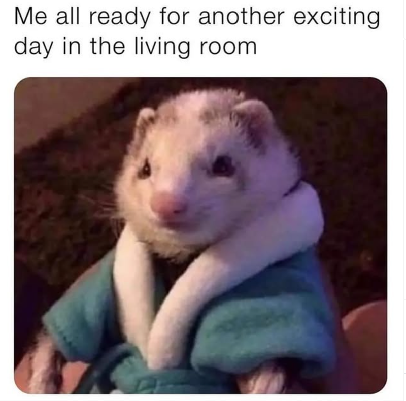 Me all ready for another exciting day in the living room.