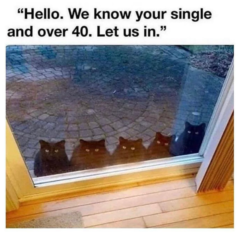 "Hello. We know your single and over 40. Let us in."