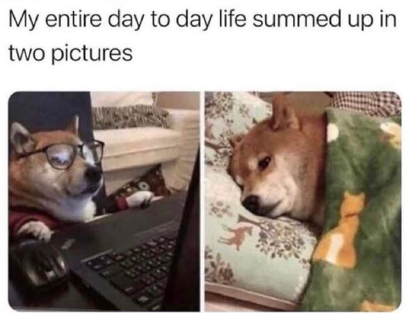 My entire day to day life summed up in two pictures