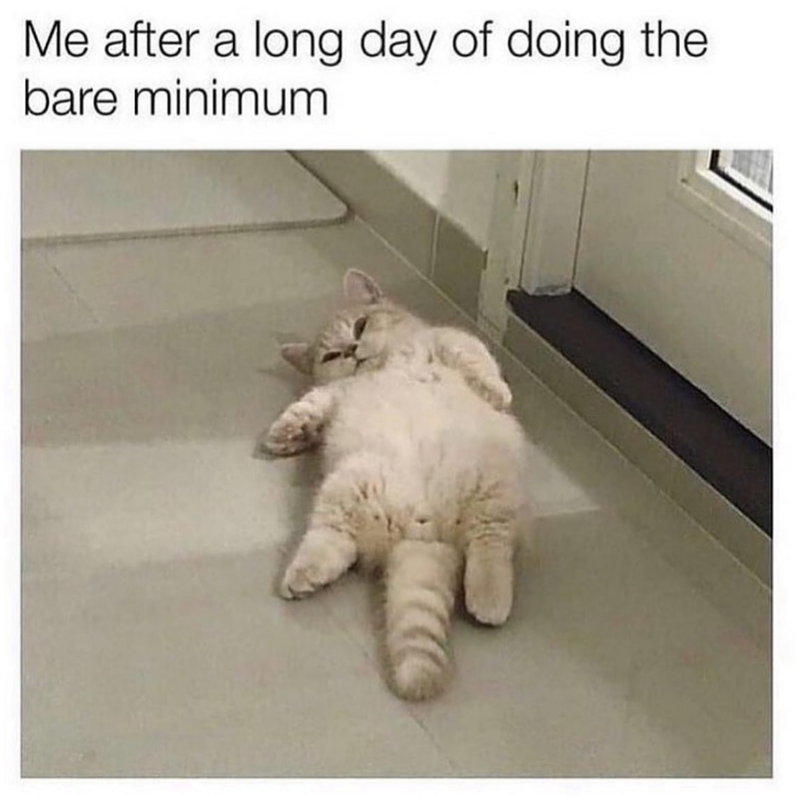 Me after a long day of doing the bare minimum