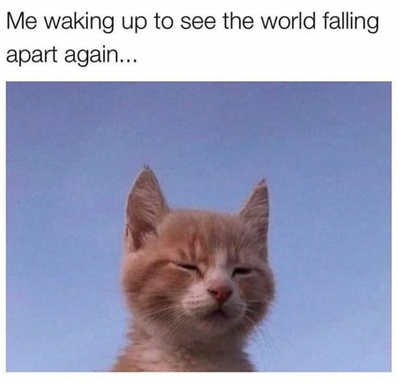 Me waking up to see the world falling apart again...