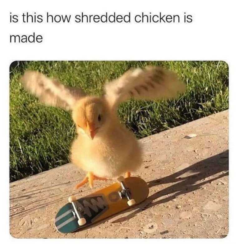 is this how shredded chicken is made