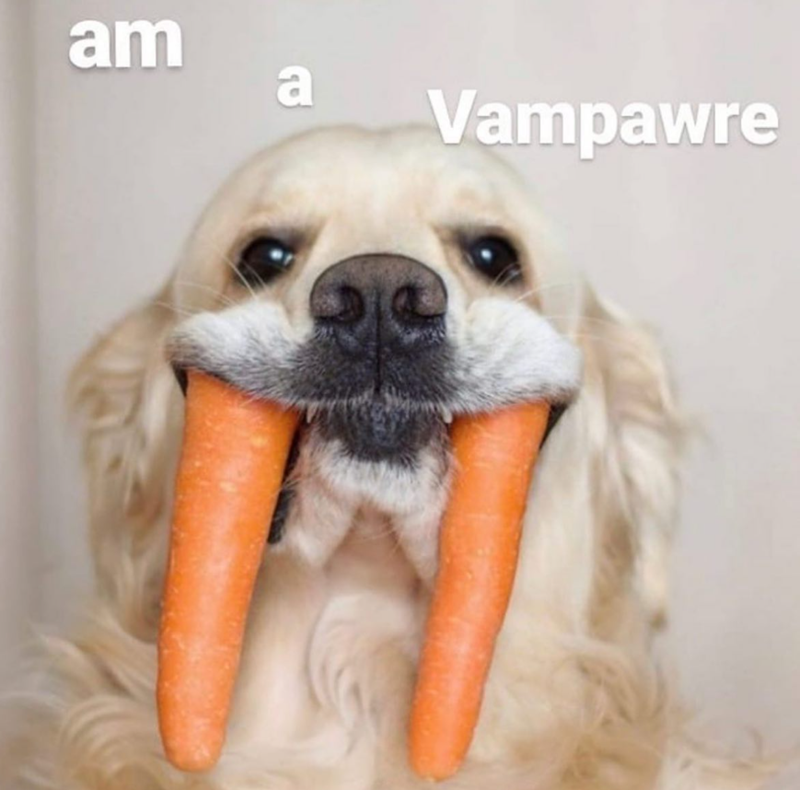 am a Vampawre