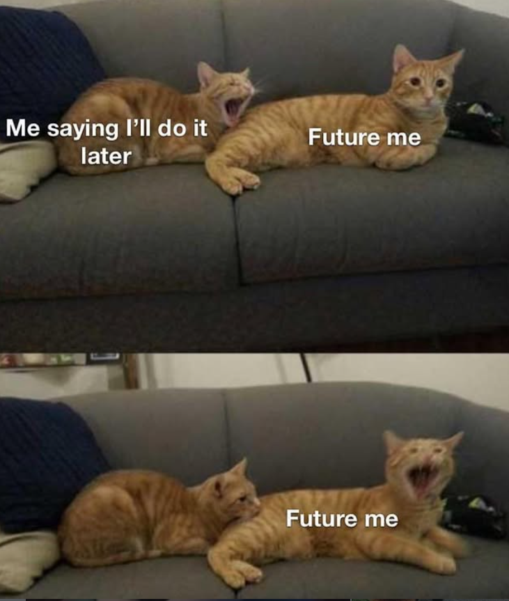 Me saying I'll do it later Future me Future me