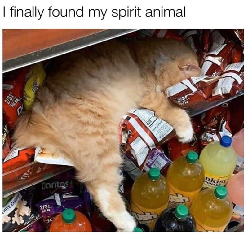 HITE CHEDG 2/$1 D I finally found my spirit animal Doritos 213 597 a 2/5 nkist MONAD