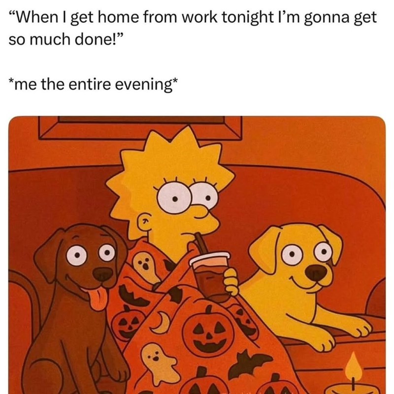 "When I get home from work tonight I'm gonna get so much done!" *me the entire evening*