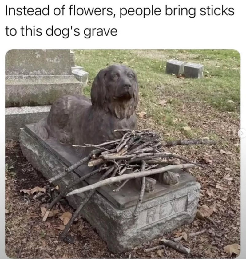 Instead of flowers, people bring sticks to this dog's grave REX