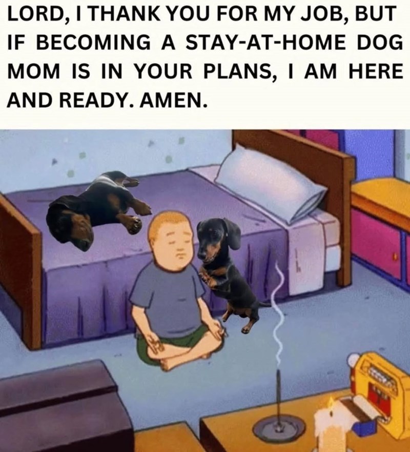 LORD, I THANK YOU FOR MY JOB, BUT IF BECOMING A STAY-AT-HOME DOG MOM IS IN YOUR PLANS, I AM HERE AND READY. AMEN.