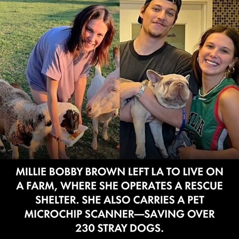 amily ALIA MILLIE BOBBY BROWN LEFT LA TO LIVE ON A FARM, WHERE SHE OPERATES A RESCUE SHELTER. SHE ALSO CARRIES A PET MICROCHIP SCANNER-SAVING OVER 230 STRAY DOGS.