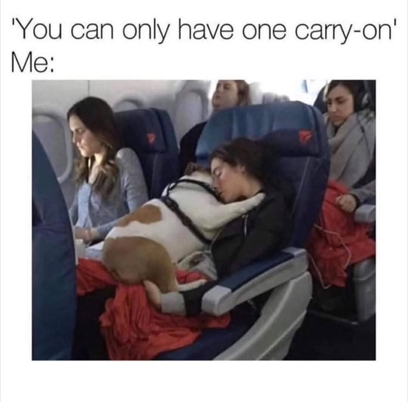 'You can only have one carry-on' Me: