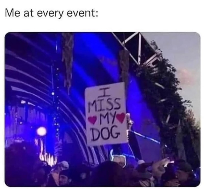 Me at every event: H MISS ♥MY DOG
