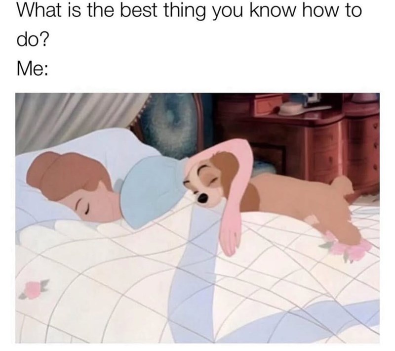 What is the best thing you know how to do? Me: