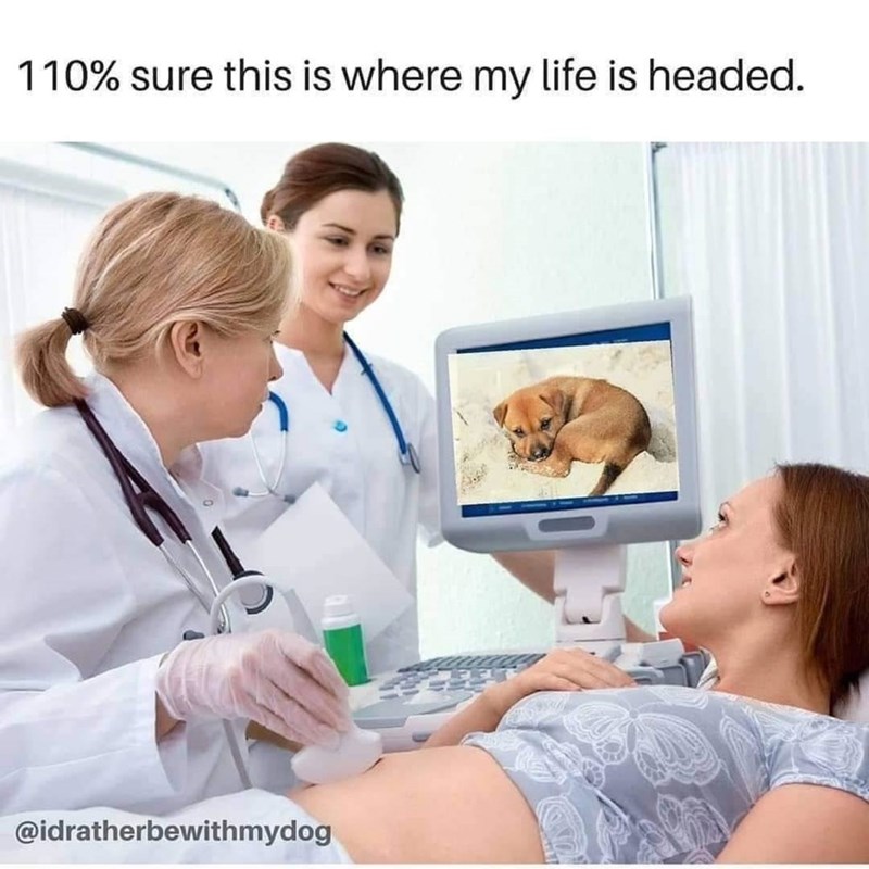 110% sure this is where my life is headed. @idratherbewithmydog
