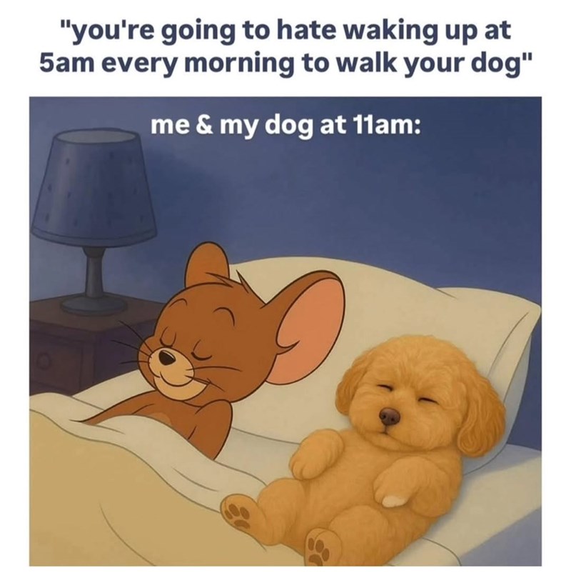 "you're going to hate waking up at 5am every morning to walk your dog" me & my dog at 11am: