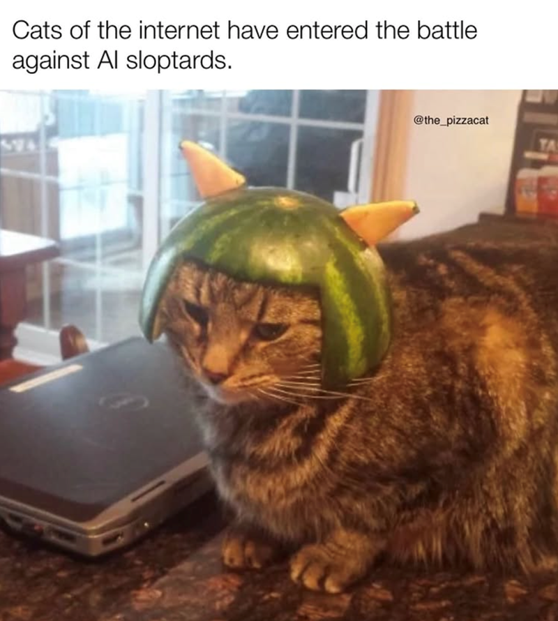Cats of the internet have entered the battle against Al sloptards. 524 @the_pizzacat