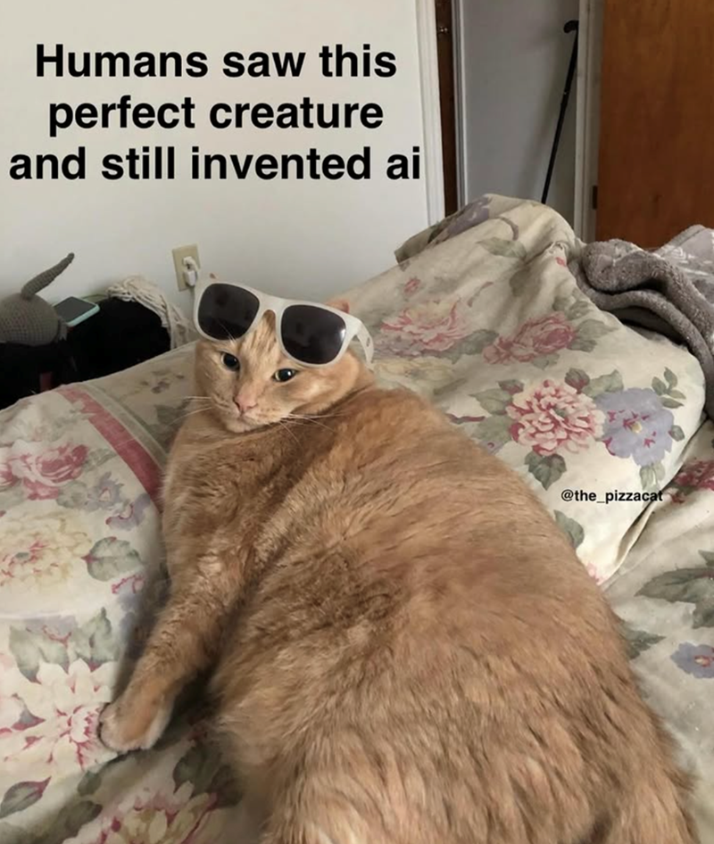 Humans saw this perfect creature and still invented ai @the_pizzacat