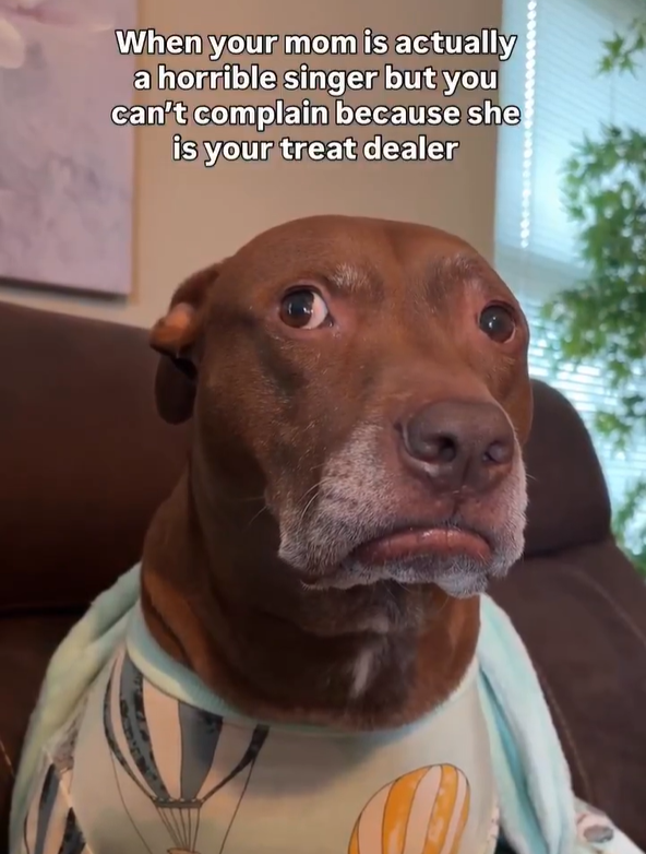 When your mom is actually a horrible singer but you can't complain because she is your treat dealer #