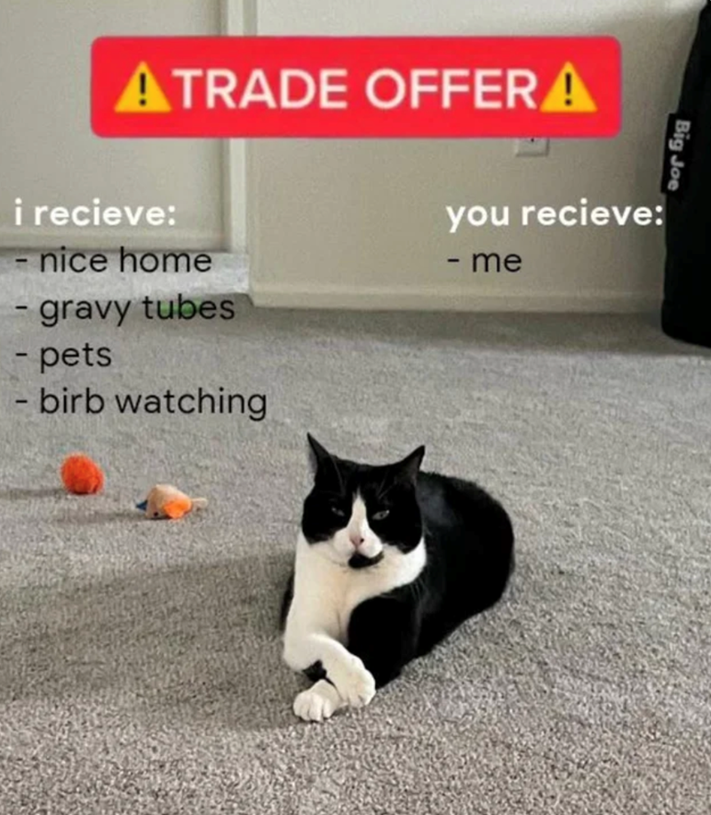 ATRADE OFFERA Big Joe i recieve: - nice home gravy tubes - pets - birb watching you recieve: - me