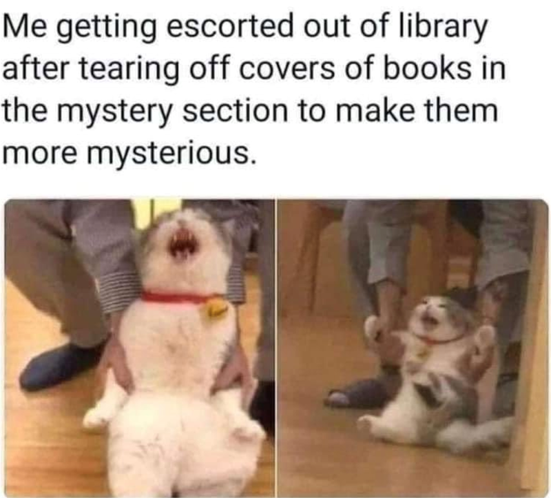 Me getting escorted out of library after tearing off covers of books in the mystery section to make them more mysterious.