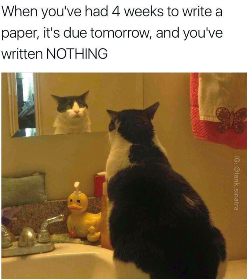 When you've had 4 weeks to write a paper, it's due tomorrow, and you've written NOTHING IG: @tank.sinatra