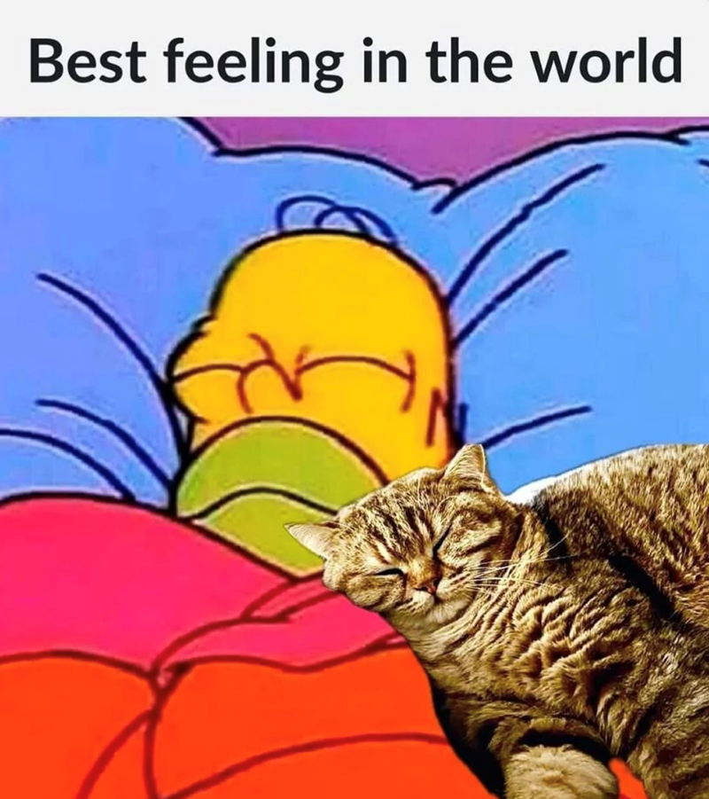 Best feeling in the world