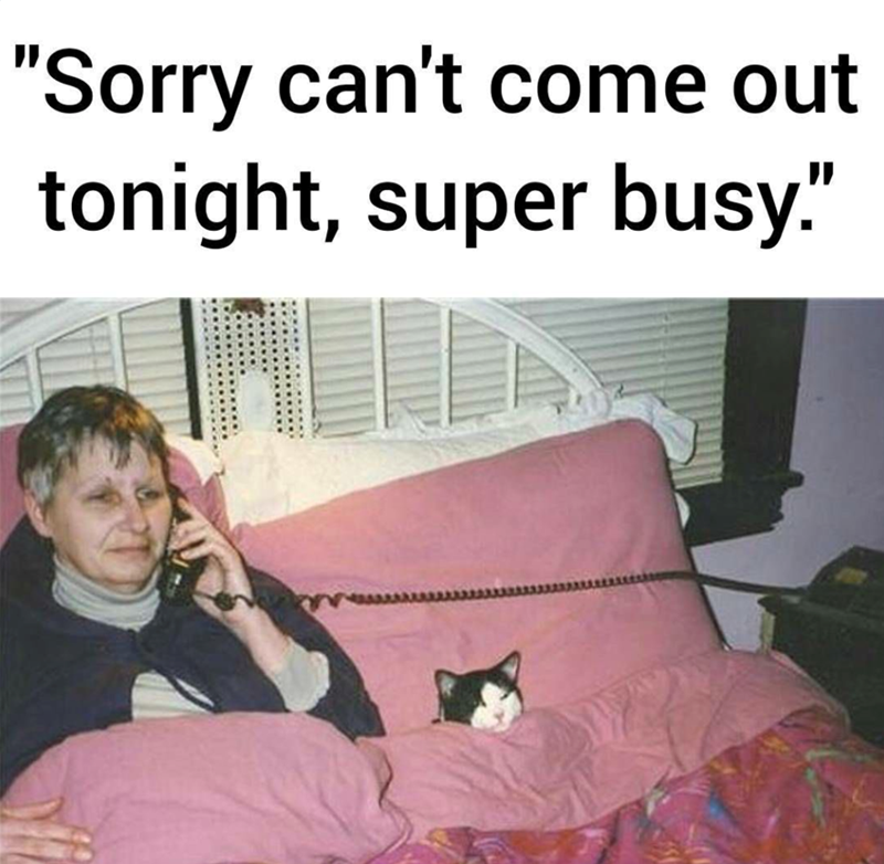 "Sorry can't come out tonight, super busy."
