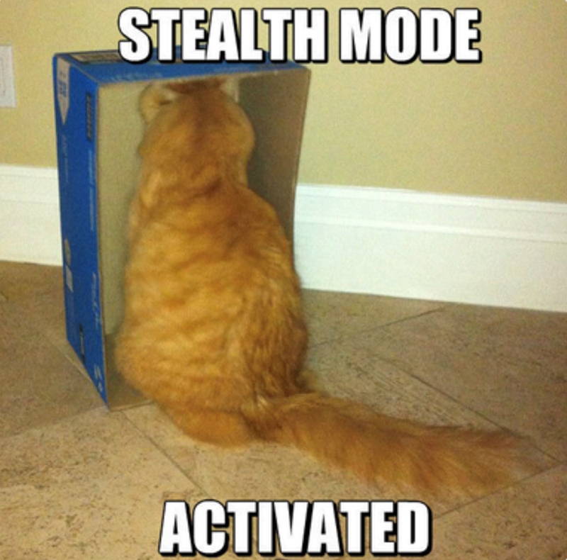 STEALTH MODE ACTIVATED