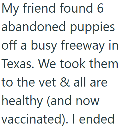 My friend found 6 abandoned puppies off a busy freeway in Texas. We took them to the vet & all are healthy (and now vaccinated). I ended