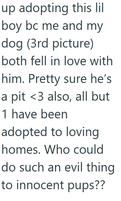 up adopting this lil boy bc me and my dog (3rd picture) both fell in love with him. Pretty sure he's a pit <3 also, all but 1 have been adopted to loving homes. Who could do such an evil thing to innocent pups??