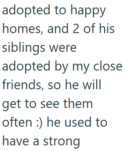 adopted to happy homes, and 2 of his siblings were adopted by my close friends, so he will get to see them often) he used to have a strong