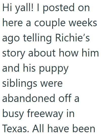 Hi yall! I posted on here a couple weeks ago telling Richie's story about how him and his puppy siblings were abandoned off a busy freeway in Texas. All have been