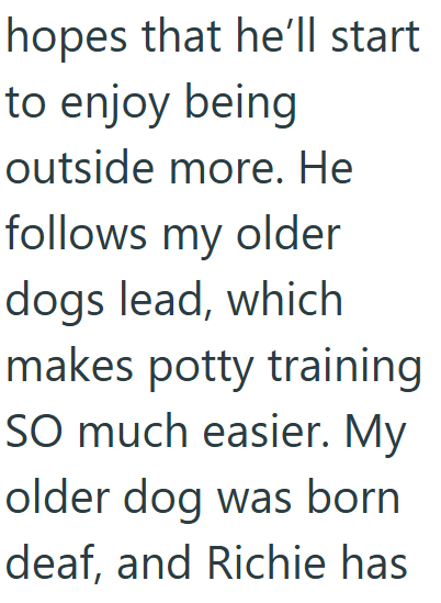 hopes that he'll start to enjoy being outside more. He follows my older dogs lead, which makes potty training SO much easier. My older dog was born deaf, and Richie has