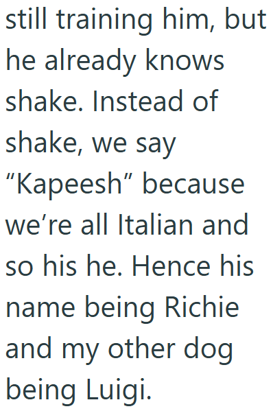 still training him, but he already knows shake. Instead of shake, we say "Kapeesh" because we're all Italian and so his he. Hence his name being Richie and my other dog being Luigi.