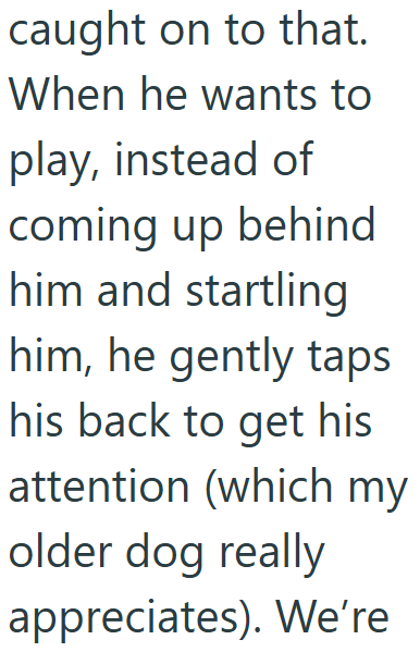 caught on to that. When he wants to play, instead of coming up behind him and startling him, he gently taps his back to get his attention (which my older dog really appreciates). We're