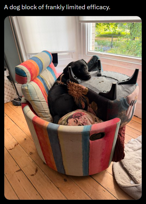 A dog block of frankly limited efficacy.